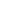 Multiplus